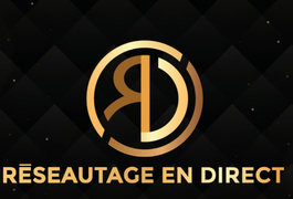 Logo Reseautage en direct.