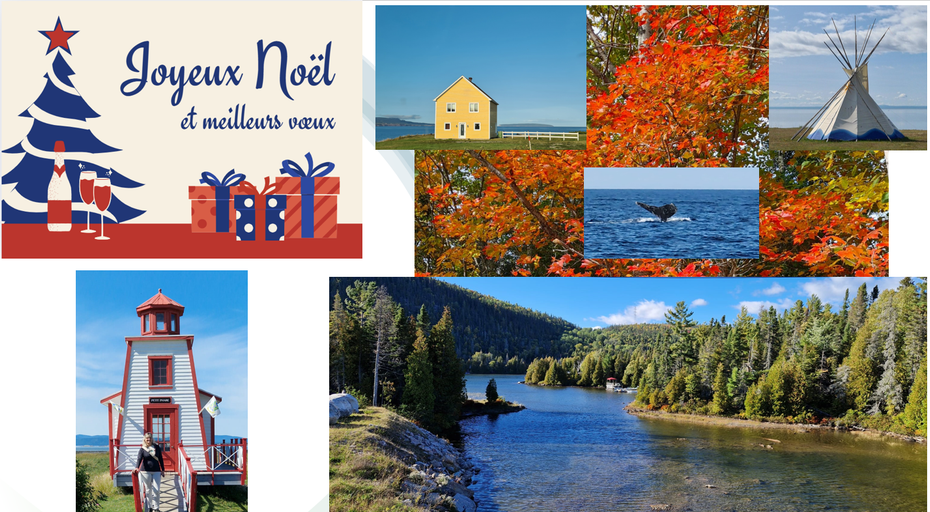 319ac78c82484bb285663684247c7bb3