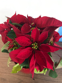 YAH8ODLpAF5SNUnD7oqExvl4brkfTWnITq-DLHs9kI6-mOGcVkpCAnPlMq44W-2tXKFOxwDgwn91qvPn0w=s0