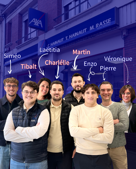 Image de présentation de Hainaut Hainaut Rasse