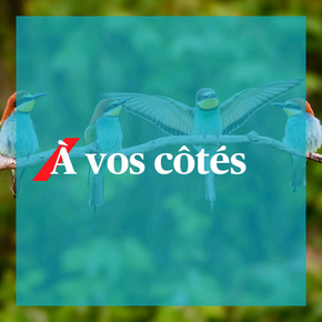 d1ad8e9c-88ce-41fe-bb68-2d8347b61d0b