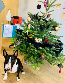 AZvAq9NaYWEMUFsQXtka8b517vFksAMkiYDDgTrTt3YEiMoAB6hwBkopiXf73YGU8cmF5-QyDE8zHlHKdg=s0