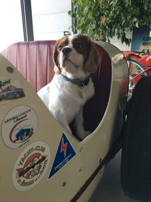 cAIO72-gFQ_CiJKX2WbyLiSbn8VcbGUFh5YZRjm-vCPH0qo5C6PeTuWOTfpeu2MsMLsR0lnppBIAp0t02A=s0