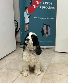 Z7RRv_I7taDEzTmG9v_AZs9pEUTv9gy8QQ9i4utH9PctiTHe0gXHRrzFeIC45L9D0ijYiCkBi4RG6Th0=s0