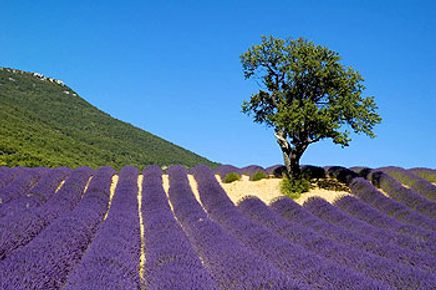 2aadbe79-8898-4054-ab7c-4e10fcbe880b