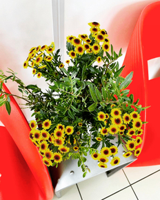 KpM6fGSFhVCPepeCrgg1xDbLa6tfdL-Q3fqUShAZl9d_YjIt3jO56uKQsB5_ZIb7rzmjxH5IWQjwKrL8hw=s0