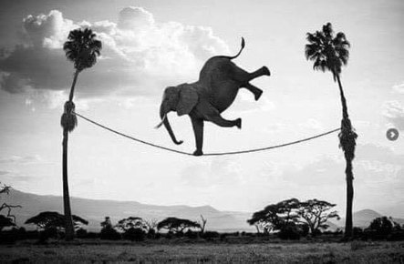 Njwh6gqOk7-MD9L2CxjZUeKI0pKzZbXo3ufDvoqfTlglEzDgN9z48J6EZ1AQYgq0pABiM78c_jFEnO5m1g=s0