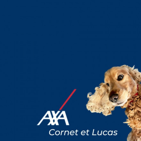 87a12900-29fc-46cf-ab44-0634030005dc