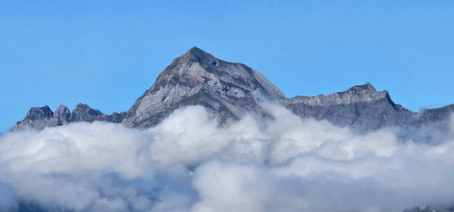 b8e2ac38-8b5e-40af-b04d-14e56053a776