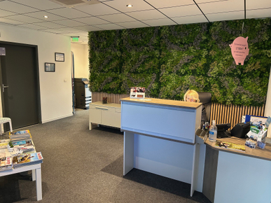 35a9b6b5-4683-4938-98d6-3efa1d17fe73