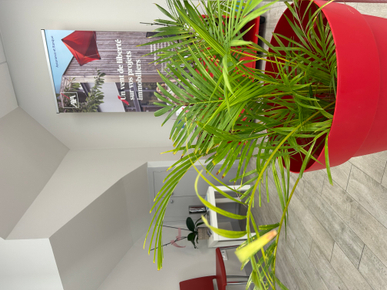 d9f5c71b-3140-41a9-b743-7f7acb2bb955