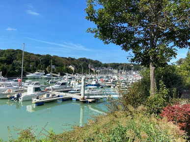 ad97169d-e2ef-4724-ad61-8a3547590298