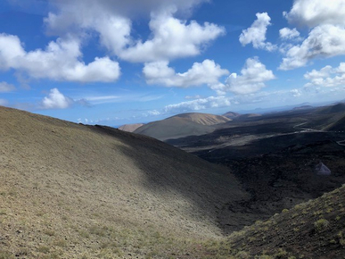 1719b305-4e3d-447b-8b0f-c10d013c2d10