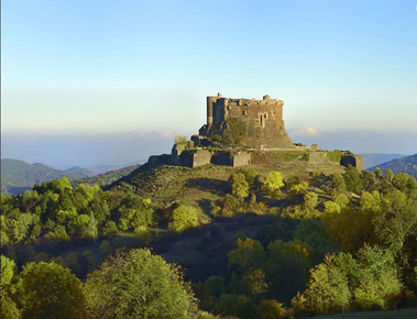 e31d5d60-ff20-4128-bf6f-c585b635222f