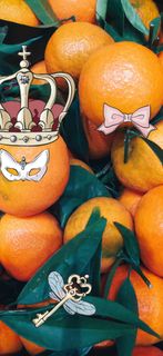 0e77352b-1d17-488e-a723-3ba940db4853