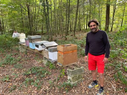 14f8d277-db00-41ab-9aeb-34745edb22c2