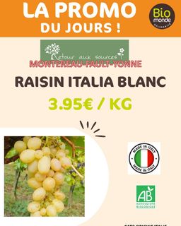 8d428b70-749e-4036-80cd-6833eeaf0662