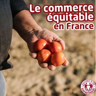 43933131-1289-4a69-b5d2-ccbb243ff06b