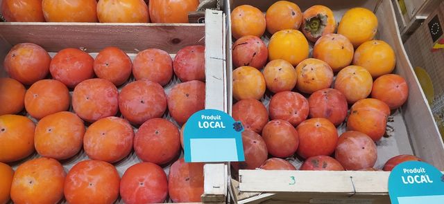 c0e914d0-44de-47e0-b6d3-d85553b66303