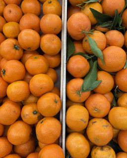 bba8bdb0-38ae-445b-b6f4-bf15c1ca9b98