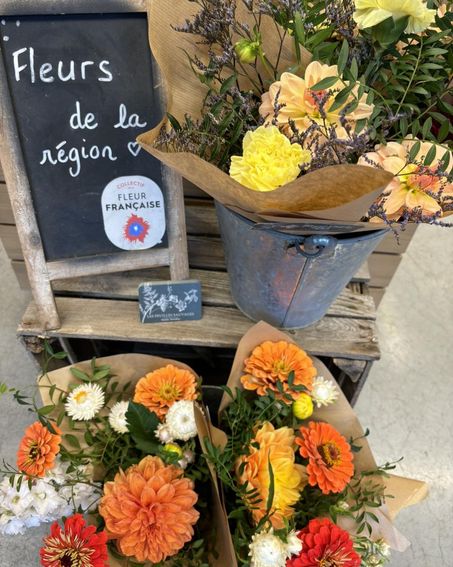 5454d7d2-e5db-47c2-b757-c3d3753bbb75