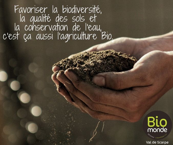 kLH4geyi2ntjCBlWTY6eUU44qh0SYTFxeQCOt1MwQ0e7Zr95k0bQX4IJmD4WaViweL9-MWnJrpGKV_yC=s0