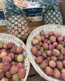 ad78b424-6bf0-49c0-88cd-04513ac4cb13