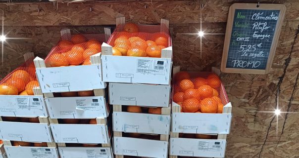 7b1ec4fc-5ae5-49c7-8d22-6ff431b349a8