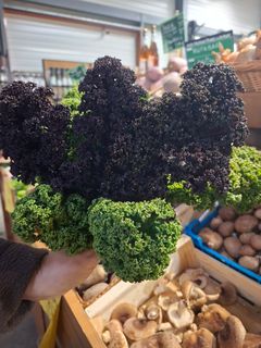 cdd1fdf1-cd5e-41c9-a3f7-3d80ff06fdcf