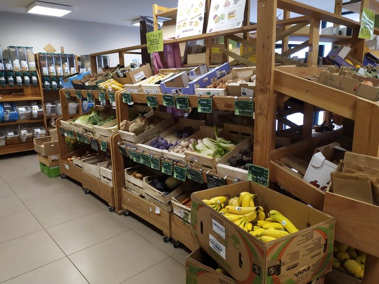 2fb049bf-45c7-4146-8a50-8cbe138bc3d7