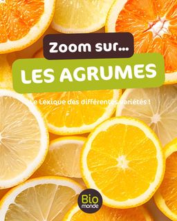 456b8f7b-89c3-4246-98d6-5ef17546bdb2