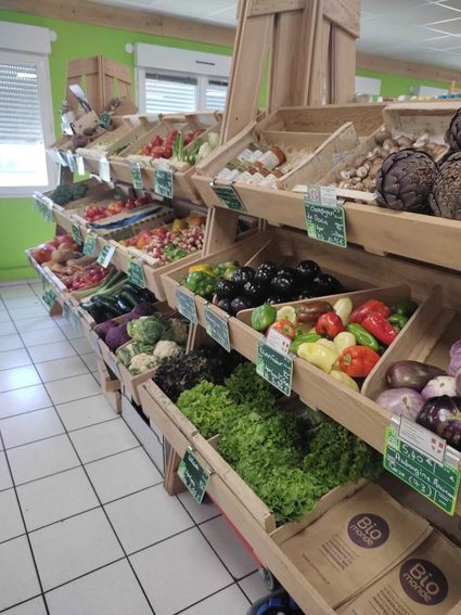 d2664d8b-4203-4c5f-8c34-7c172d17e5de