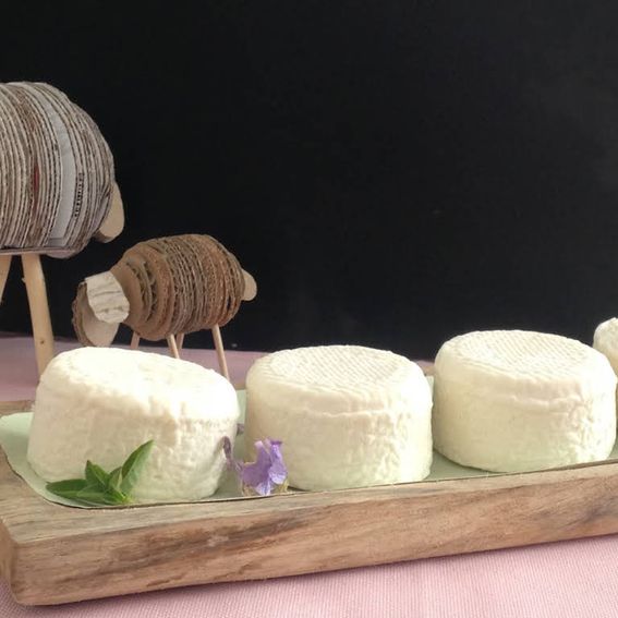 37fca1b1-5cd3-44f3-b21c-dcd8c3a25be3