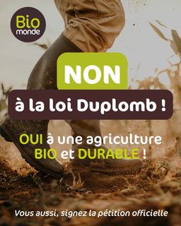 2c653114-6cc4-48bd-b500-3b9ac0e1f768