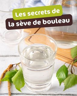 821357ac-4da0-483e-a7e6-8b9ada6993f8