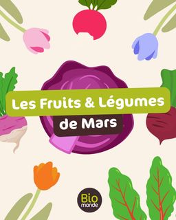 ffa388c2-fb2a-498d-ae2d-f2d7889d39b6