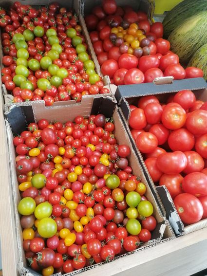 TnQuMAuVi9K0ICK6xj0MRfMTdQ2lNIEy_LTUbaN7c2RaGxTXdt-TDxDPbDTn0ca4DKoevyR51DDHgw1eDA=s0