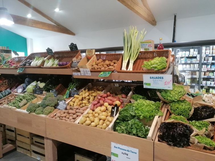 81iO7QwH6WMMxCOC0DynEYROTtBbI2nKh9cwJDSn5-M3a6kuwpNSDlCdBOWc3-yhZPGqxeKBIAUNFvZjjw=s0