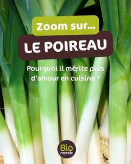 6f68768e-eca9-4323-9268-1172a17d73c3