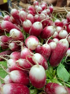 23da34b3-7e75-4a9c-a73e-41bdee8b1e97