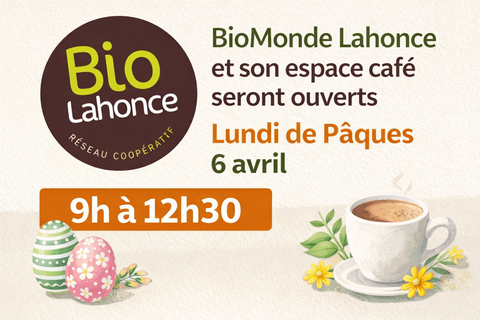 cf10a10b-61e1-481a-8ccf-41c5b2d9a8f3