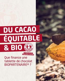 f962f78c-4737-48a2-ab79-d7e2c61bd870