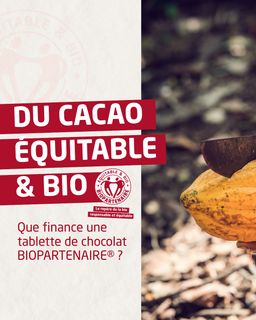 7fdde619-7af1-48d9-bc6c-33417b7d6961