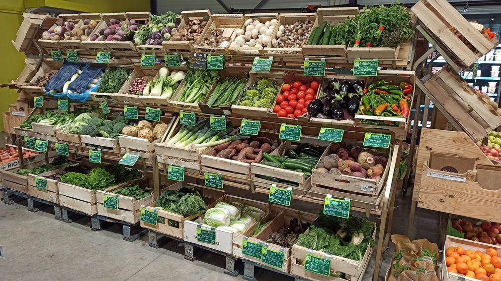 d95a621e-f220-43fc-b831-4cdaf317b927