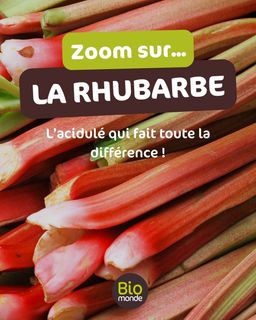 9b051e87-fb91-40ec-b283-7fd78e14c65d