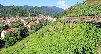 Ville de Thann