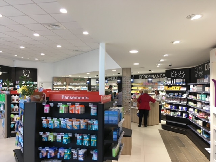 6aa93deb-4c09-4270-9d1e-308a65f18dad