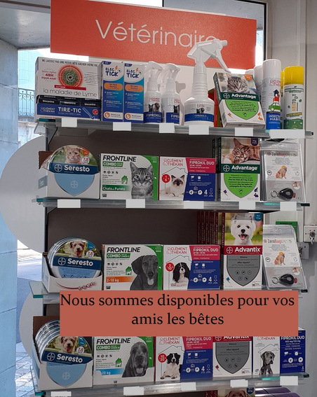 88230d8a-4065-40cd-9aec-fb7e396c1570