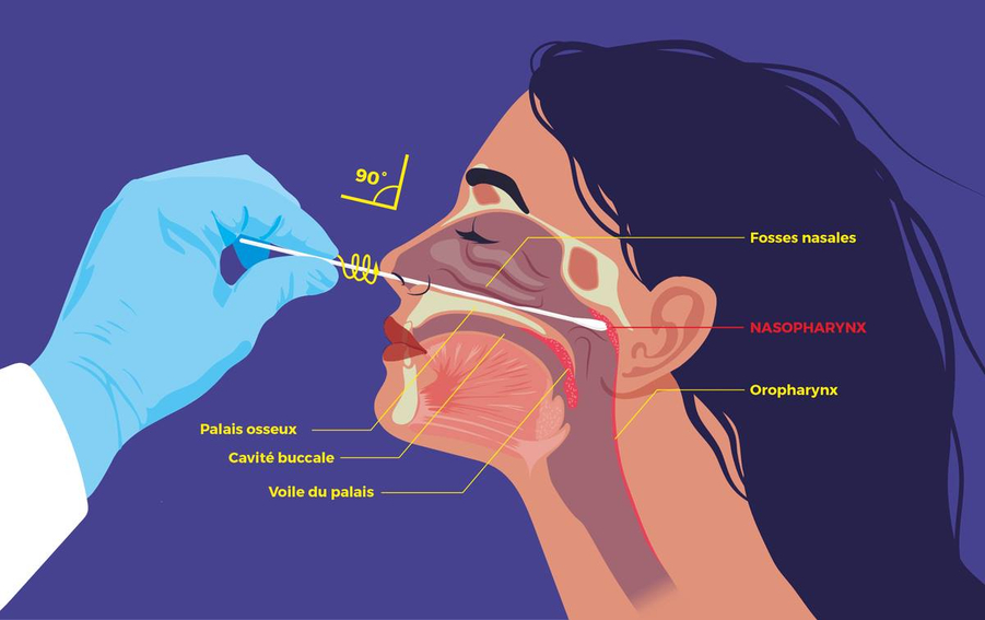 5976dc41-e5b8-4f5c-82f3-edbca41097ff