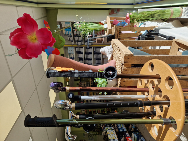 5b5b54ff-01a1-4a71-ac94-17145519e4cd